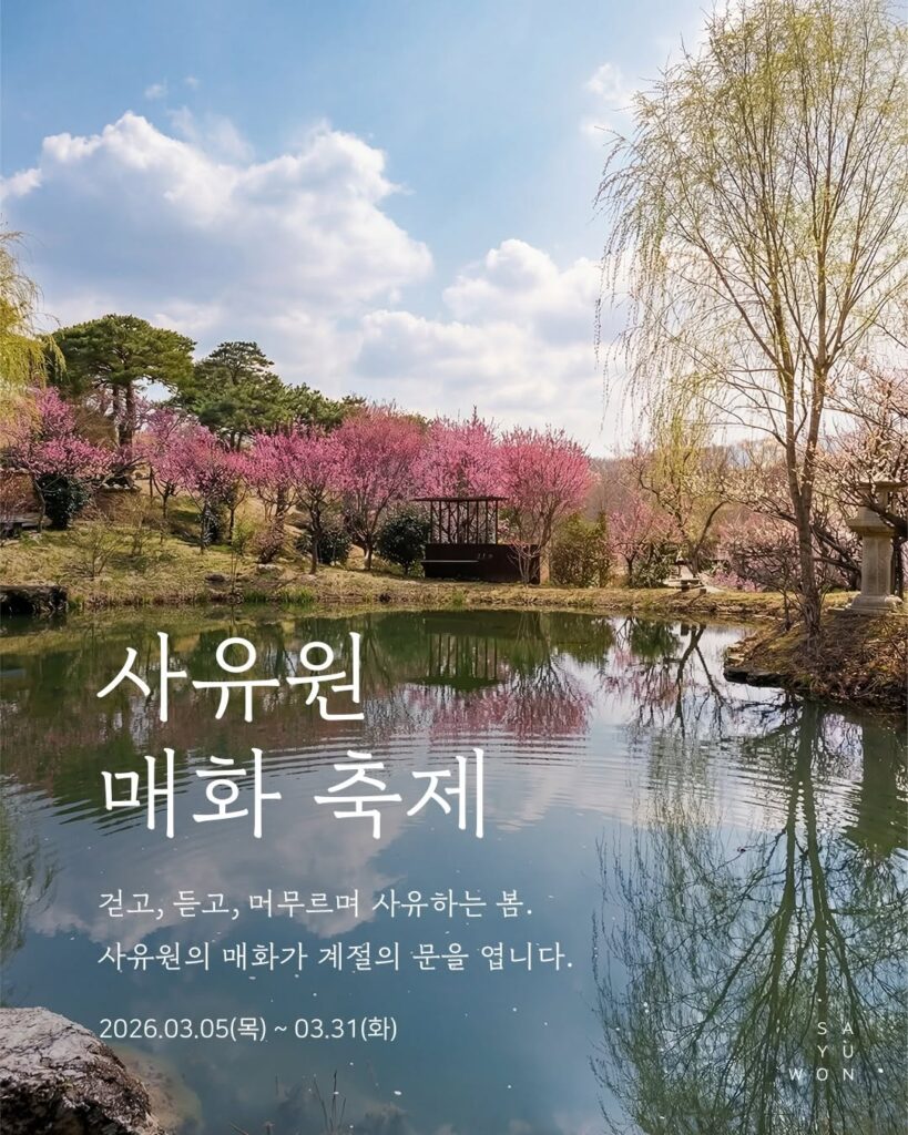 대구 사유원 매화 축제 풍경