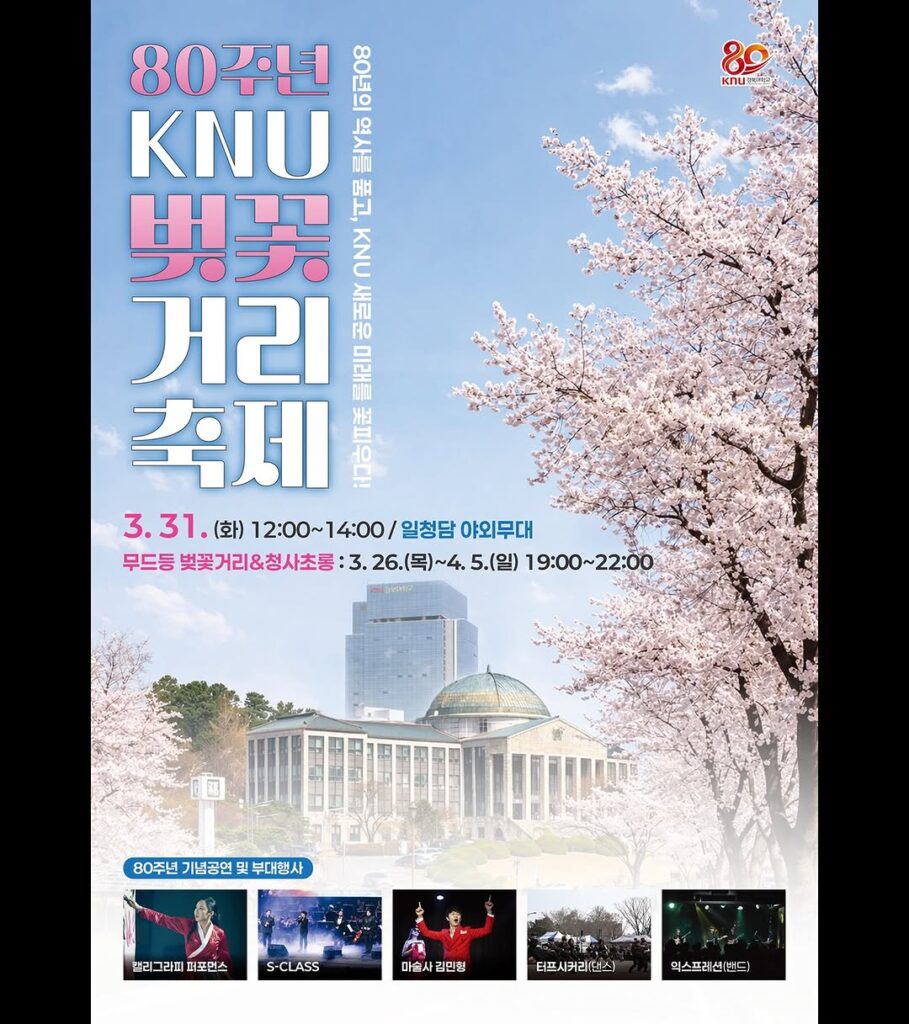 경북대학교 벚꽃거리 축제 포스터