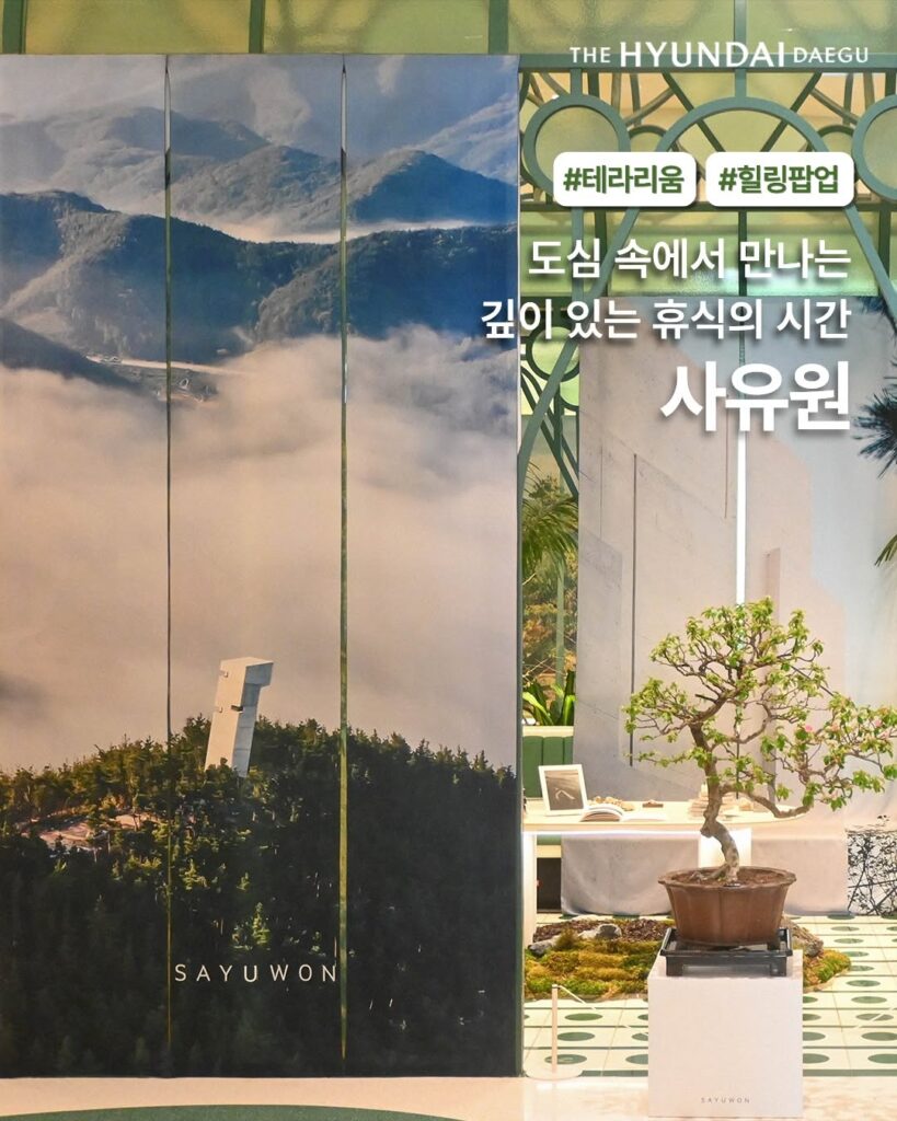 더현대 대구 사유원 정원 팝업스토어