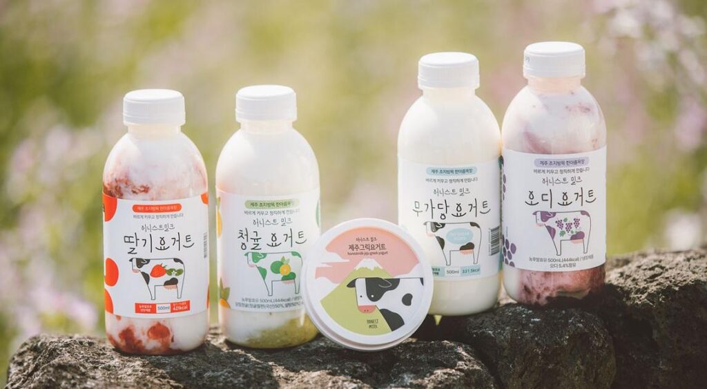 어니스트 밀크 더현대 대구 팝업스토어 요거트